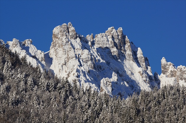 FORNI DI SOPRA (DOLOMITI)