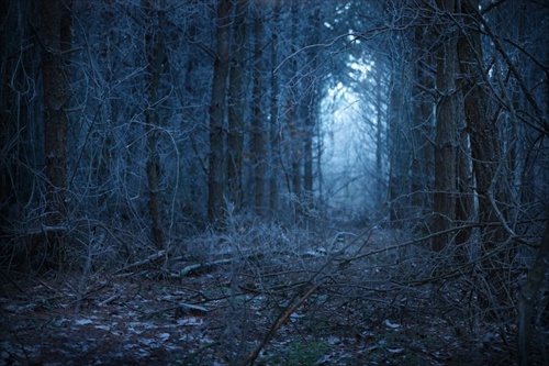 Strašidelný les