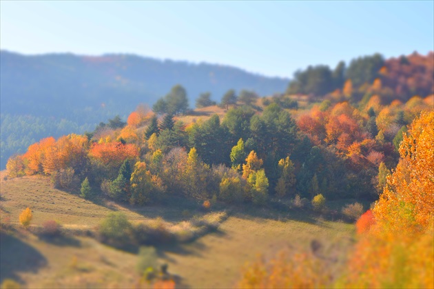 farby jesene /colors of autumn