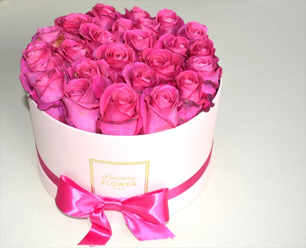 ružové ruže / pink roses