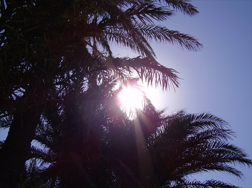 TUNIS