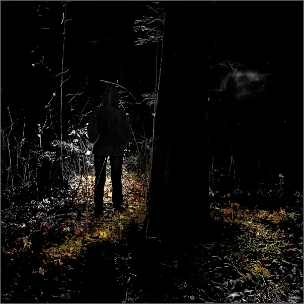 svetielko v tmavom lese
