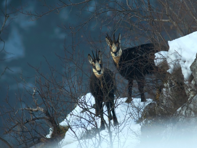Postojte, ešte foto!