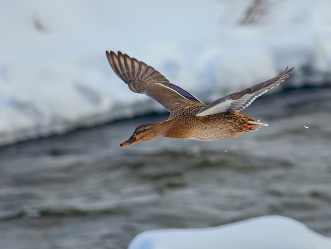 Prituhlo, majú to ťažšie