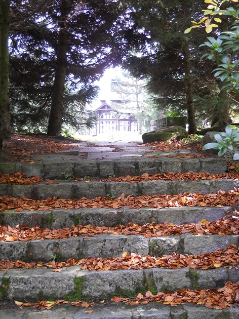 jesenné schody