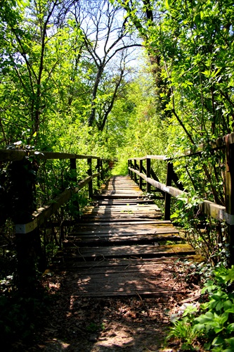 Drevený mostík