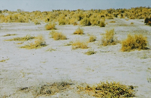 Púšť Kyzyl Kum