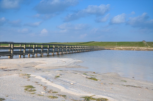 Dreveny most na plazi
