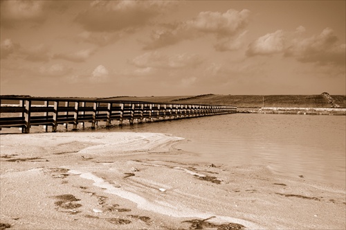 Dreveny most na plazi