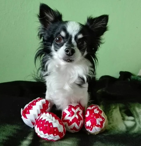 Romeo