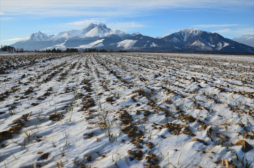 Tatry