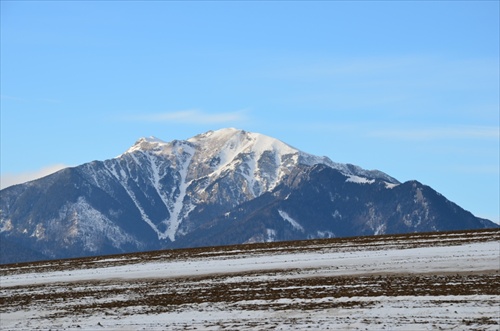 Bujači