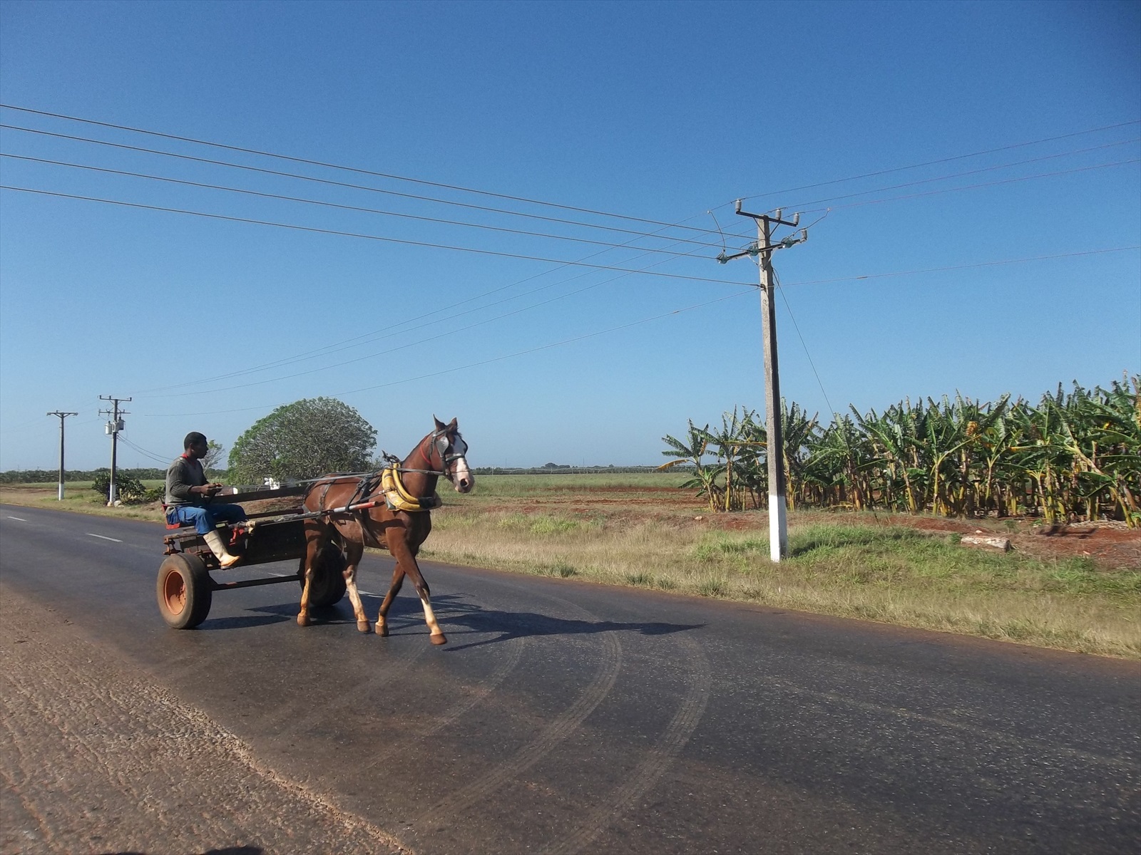Ekologická doprava na Kube