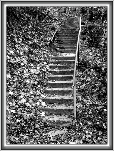 Na želanie Pependa v BW