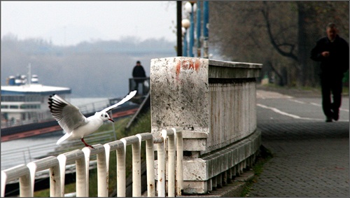 Dunajské nábrežie na podzim