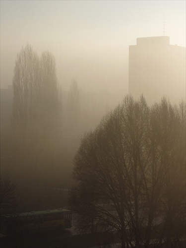 Ranná mlha