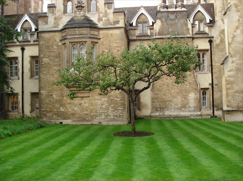 Cambridge strom