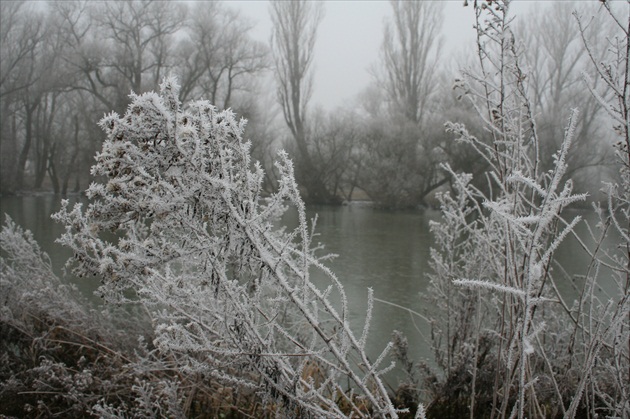 zima pri Morave