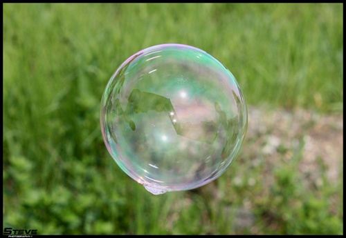 jarná bublinka...