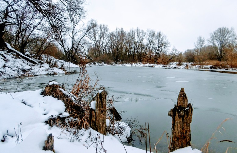 Zima na mrtvých ramenách rieky Váh
