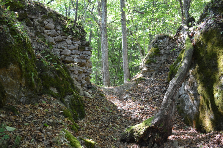 Hrad Sokolí Kameň