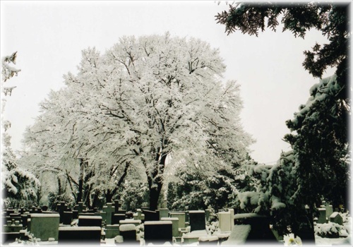 Kľud_2