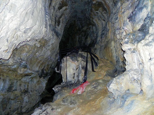 jaskynný pavúk