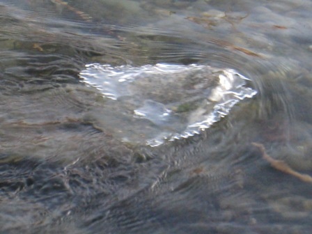 Ľad v rieke