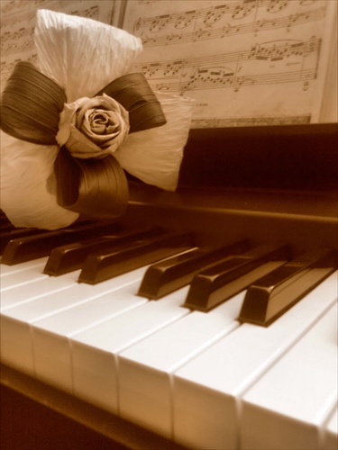 Mon piano avec rose