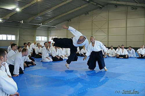 Aikido seminar  s Endo senseiom