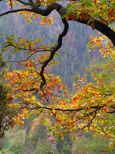 Jeseň v Slovenskom Raji