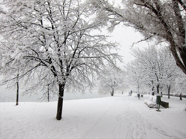 skoro na neuverenie, ale v Bratislave husto snežilo