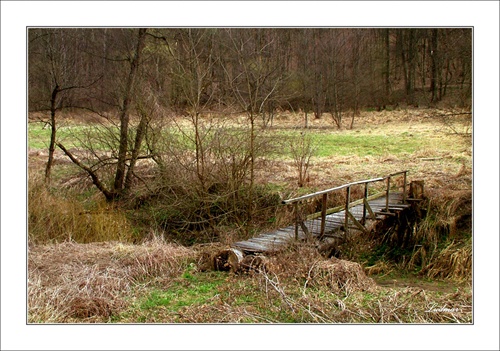 Jarné zátišie s lavičkou.