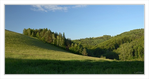 V ranných lúčoch.