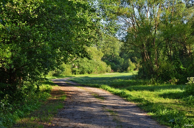 Zelené zátišie.