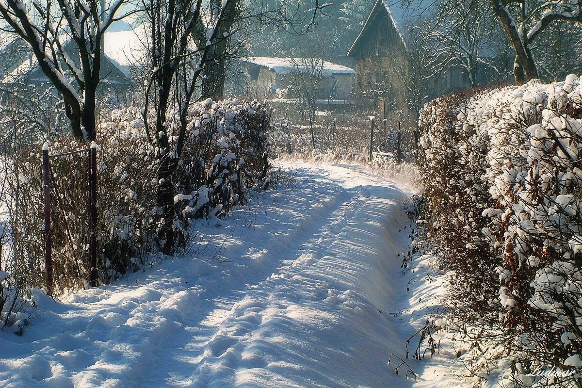 Zima na dedine