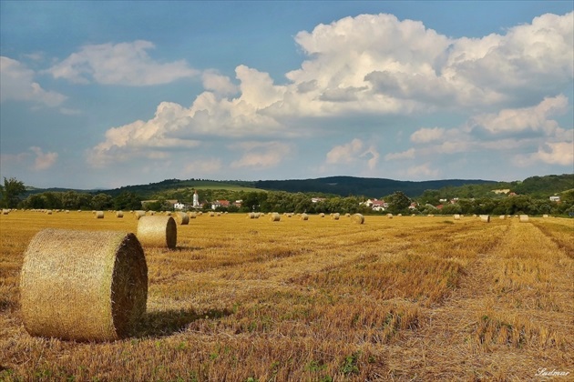 Po žatve.