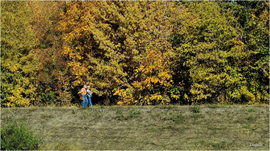 V jesenných farbách.