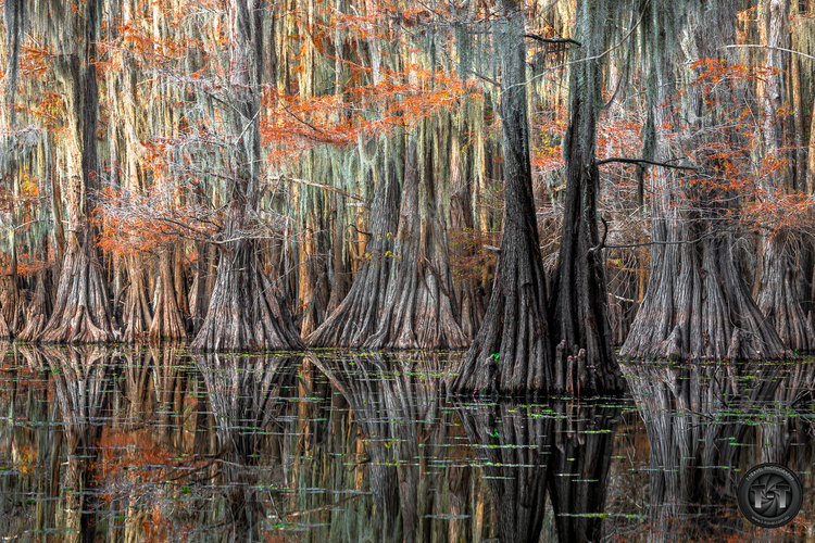 Jurassic Park alebo Avatar?