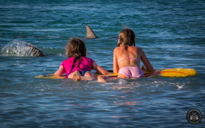 "Radovanky" v Australii