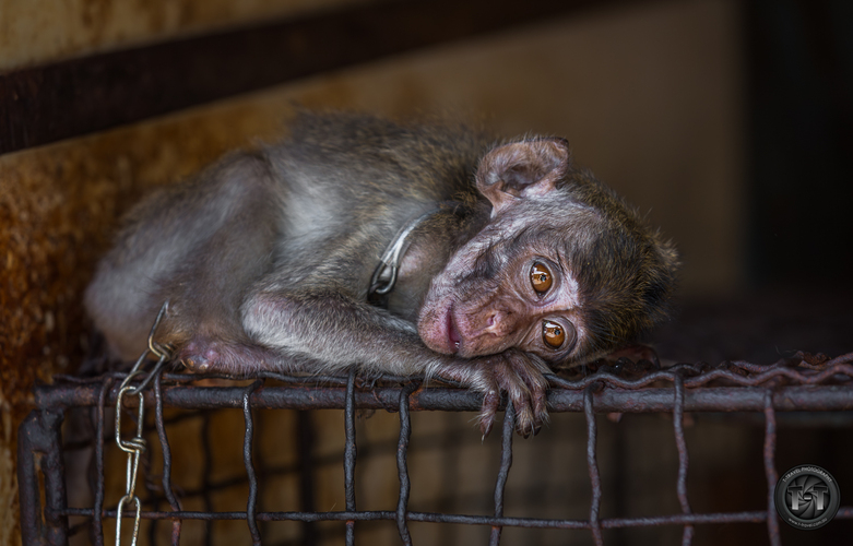 Odvratena strana turizmu ll