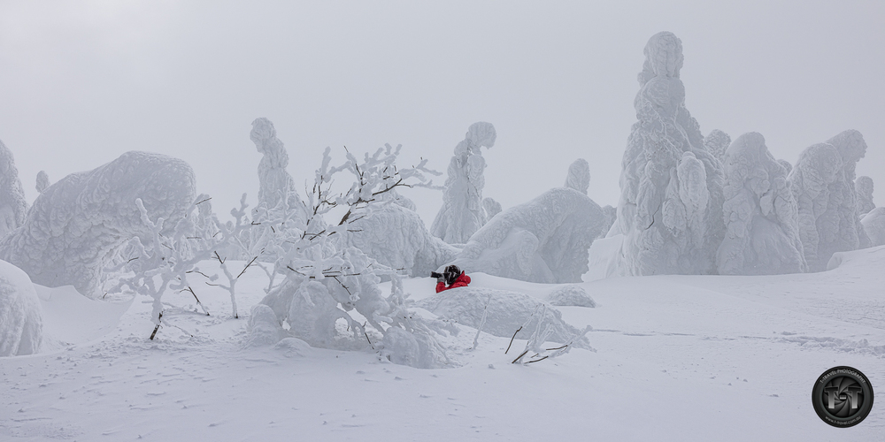 Medzi Snehovymi Monstrami