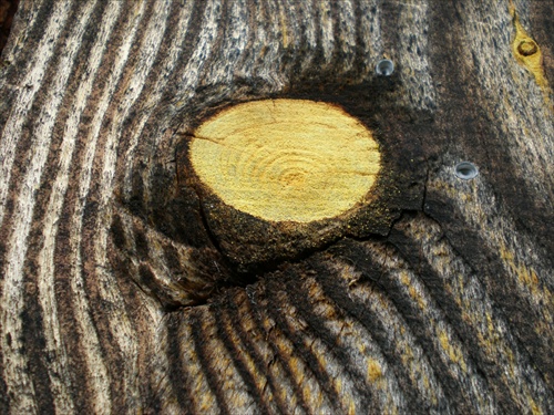 drevo-detail 2
