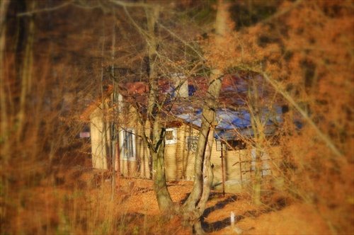 domček v lese