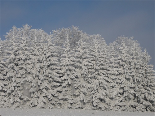 Zima v Čechách... Huzová...