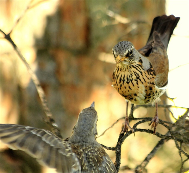... iný uhol pohľadu ...