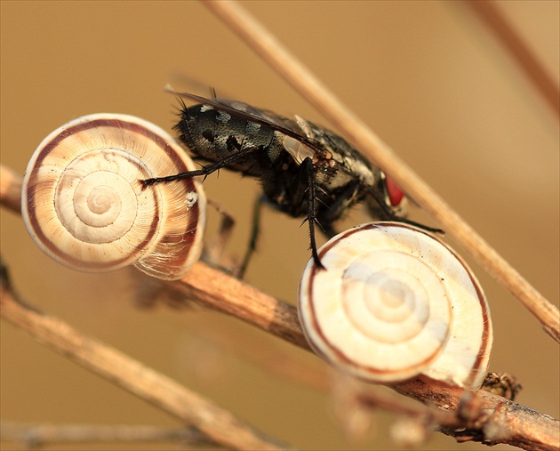 ... na vlastných kolesách ...