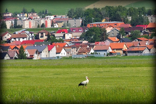 a tu strážim ja ...