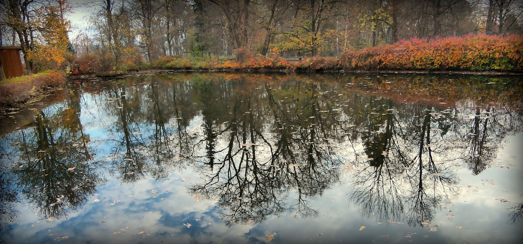 a druhý pohľad dnes ráno v ZOO ...