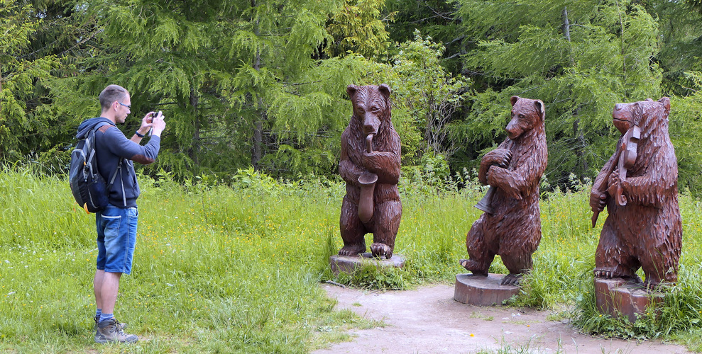 a v Tatrách majú aj medvede svoj orchester ...